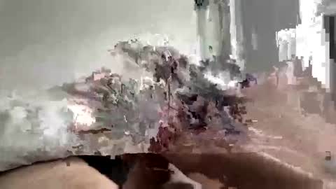 carnifex5 online show from 02.26.26