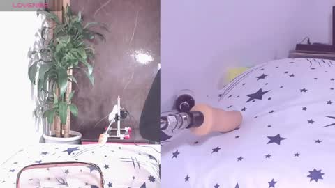 Carol online show from 04.21.26