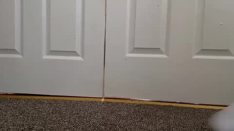 Snapshot of cash13bychanel chatting on 12.11.24 cash13bychanel online show from 12.11.24