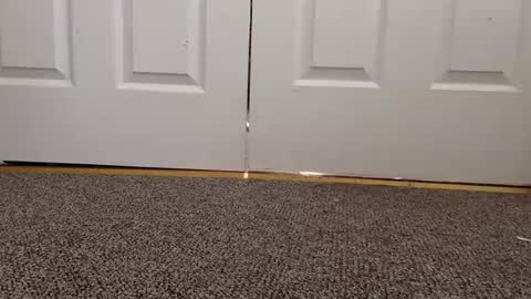 Snapshot of cash13bychanel chatting on 01.22.25 cash13bychanel online show from 01.22.25