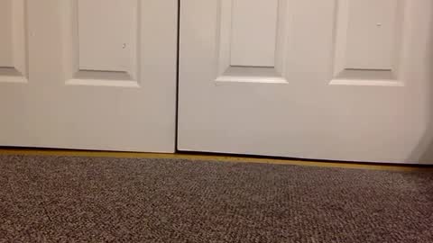 Snapshot of cash13bychanel chatting on 01.23.25 cash13bychanel online show from 01.23.25