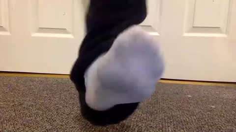 Snapshot of cash13bychanel chatting on 01.26.25 cash13bychanel online show from 01.26.25