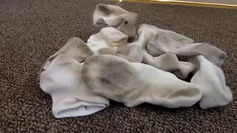 Snapshot of cash13bychanel chatting on 02.04.25 cash13bychanel online show from 02.04.25