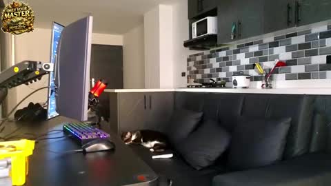 cash_master777 online show from 05.21.26