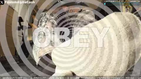 Snapshot of cashmastergrey chatting on 05.15.26 Master Grey online show from 05.15.26