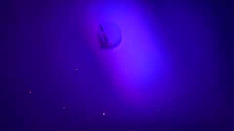 casidy1 online show from 01.21.25