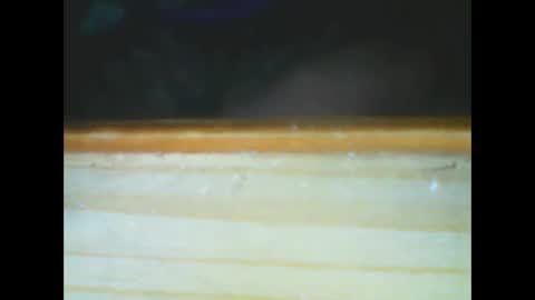 castells online show from 12.15.25