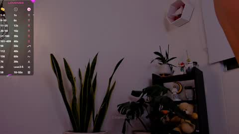 MACARENA online show from 01.06.25