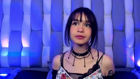 Cat  online show from 12.02.24