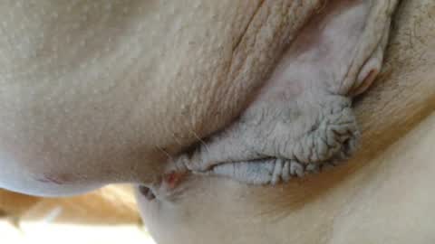 Snapshot of cbz112233 chatting on 03.24.26 ANNYANNY online show from 03.24.26