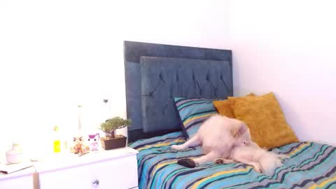 Cedrixx10 online show from 12.16.25