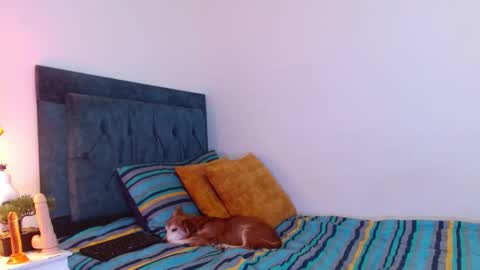 Cedrixx10 online show from 12.19.25