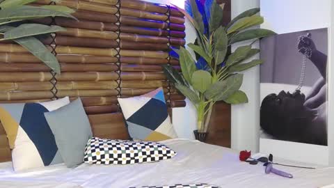 CelesteBailey online show from 01.26.25