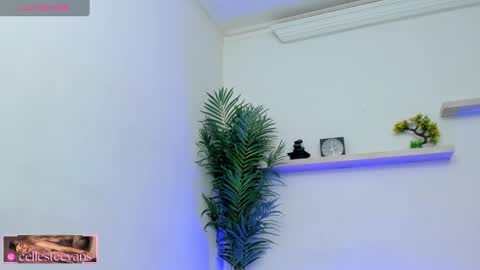 Celeste  online show from 02.11.25