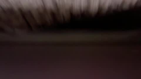 cenobitfor online show from 03.05.26