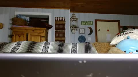 cguffey2284 online show from 12.29.24