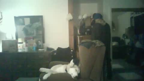 GigaChad online show from 10.29.25