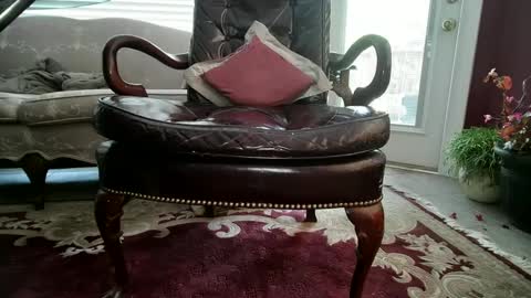 chad online show from 12.03.24