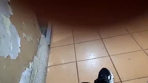 chancherman online show from 01.10.26