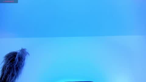 Charlotte  Everyday From 0700 to 1300 Col Time online show from 10.12.25