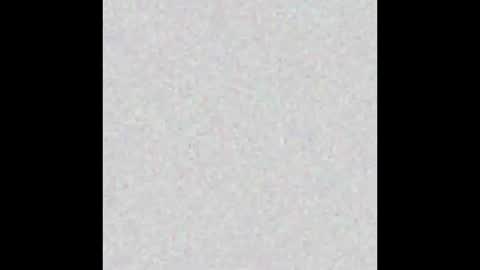  C H A R L O T T E  online show from 09.24.25