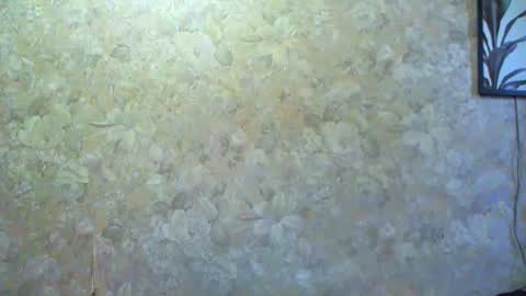 Snapshot of charming__seili chatting on 02.15.25 Charming Seili online show from 02.15.25