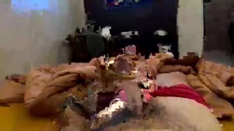 chasejase20333 online show from 02.02.26