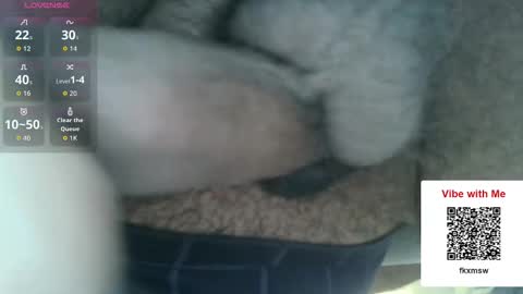 Fun With Daddys Dick Fantacy Room online show from 12.17.25