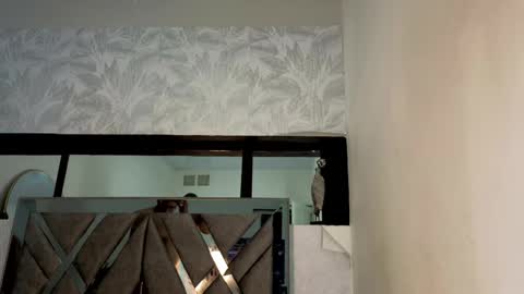   online show from 04.15.26