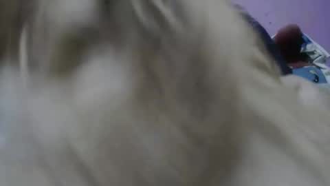 Snapshot of cheliafun chatting on 11.17.25 Cheila online show from 11.17.25