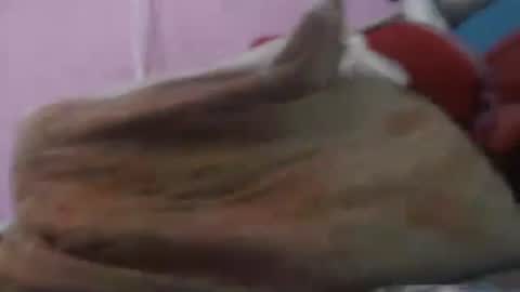 Snapshot of cheliafun chatting on 04.20.26 Cheila online show from 04.20.26