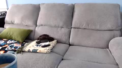 Chelsea online show from 02.02.26