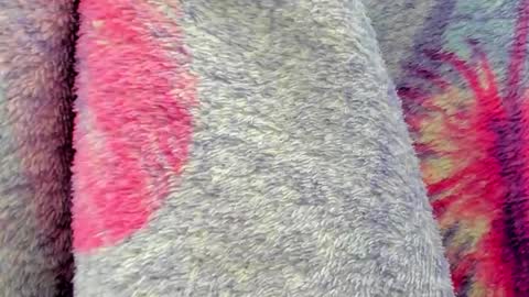 Mia online show from 10.06.25