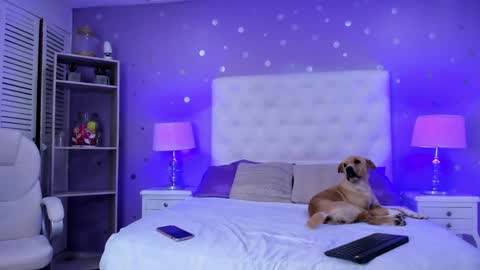 Sussan Cherry  online show from 02.01.25