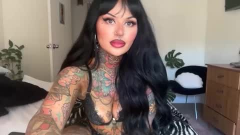 Chickhabit66 online show from 03.12.26