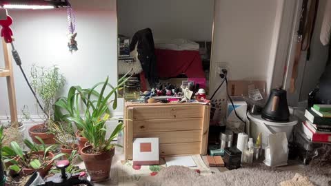 Snapshot of chiloschista chatting on 02.03.25 judith online show from 02.03.25