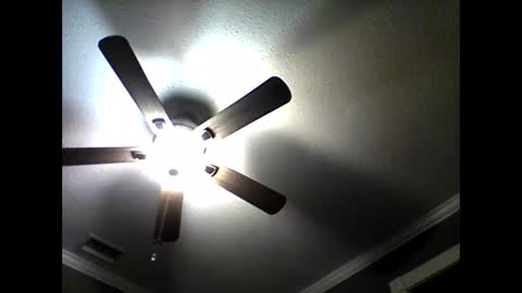 CHINO online show from 04.16.26