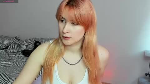 choco_meowx online show from 05.21.26