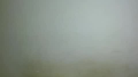 chocolatebony_ online show from 01.22.25