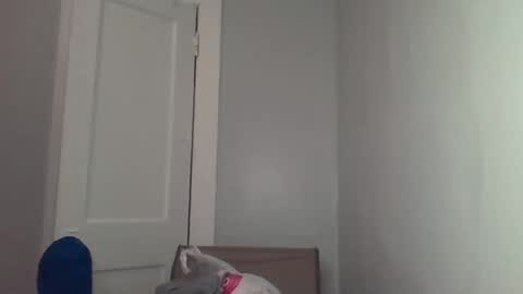 chocolatedolla online show from 03.04.25