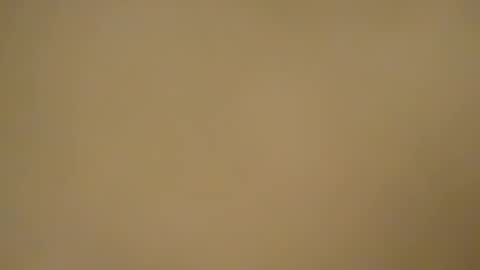 Snapshot of chocoschlong83 chatting on 01.21.25 chocoschlong83 online show from 01.21.25