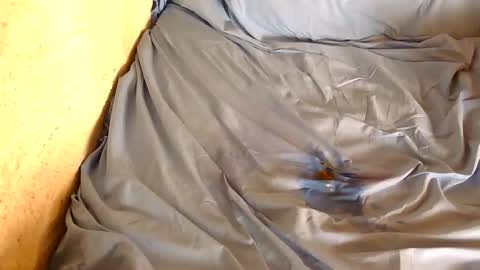 davenz online show from 02.28.25