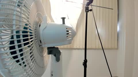 Chris Evans online show from 02.02.26