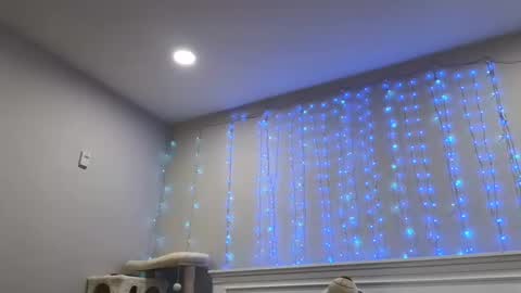 Snapshot of christy_love chatting on 12.29.24 Christy Love online show from 12.29.24