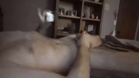 Snapshot of chrisw8121 chatting on 02.06.26 chrisw8121 online show from 02.06.26