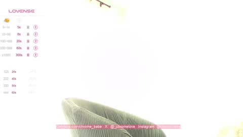 Gwendy Fox online show from 01.12.25