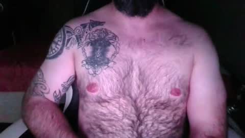 chub bear 99 online show from 04.11.26