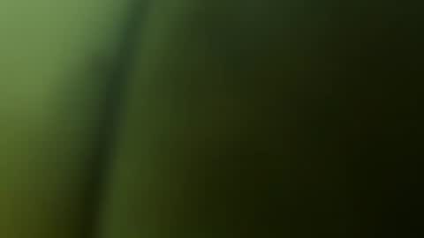 Snapshot of chuckyschick69 chatting on 12.03.25 chuckyschick69 online show from 12.03.25