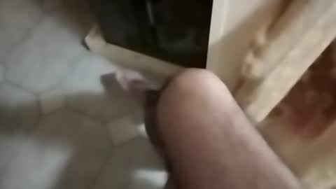 ciccilli online show from 09.30.25