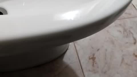 ciccilli online show from 10.08.25